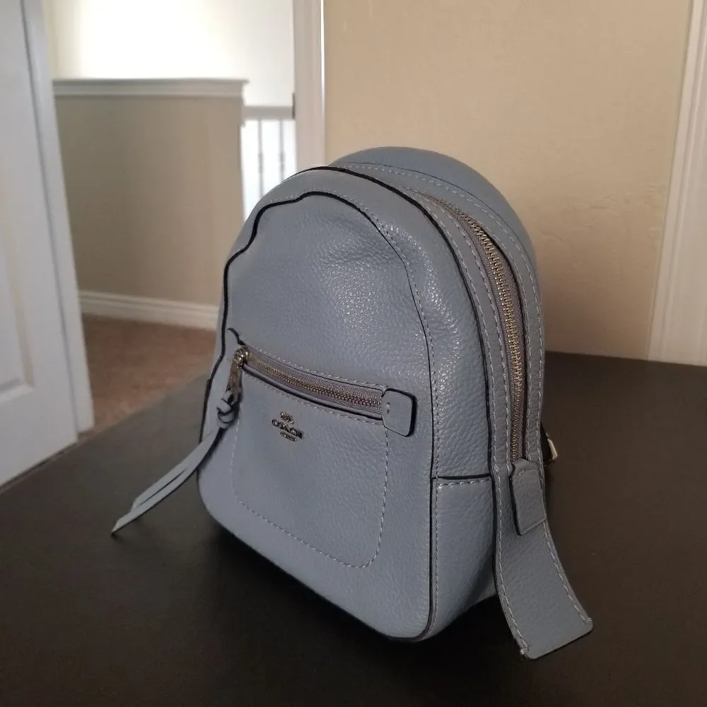 Coach Leather Mini Backpack